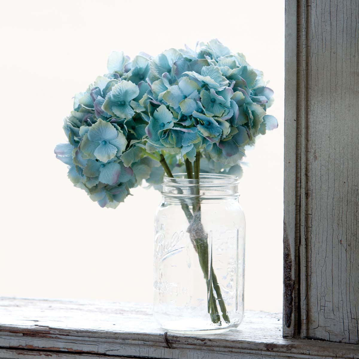 Hydrangea Bundle, Blue