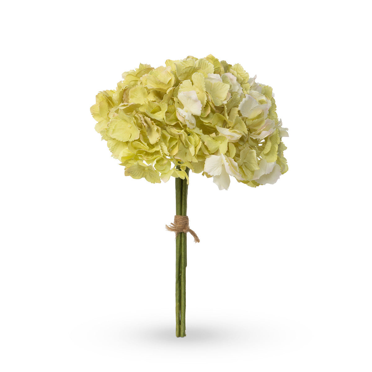 Hydrangea Bundle, Light Green