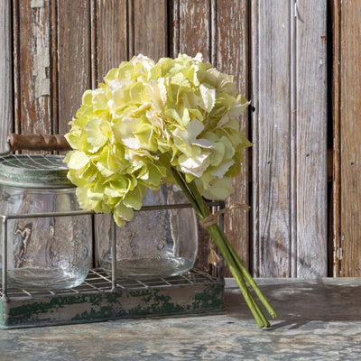 Hydrangea Bundle, Light Green