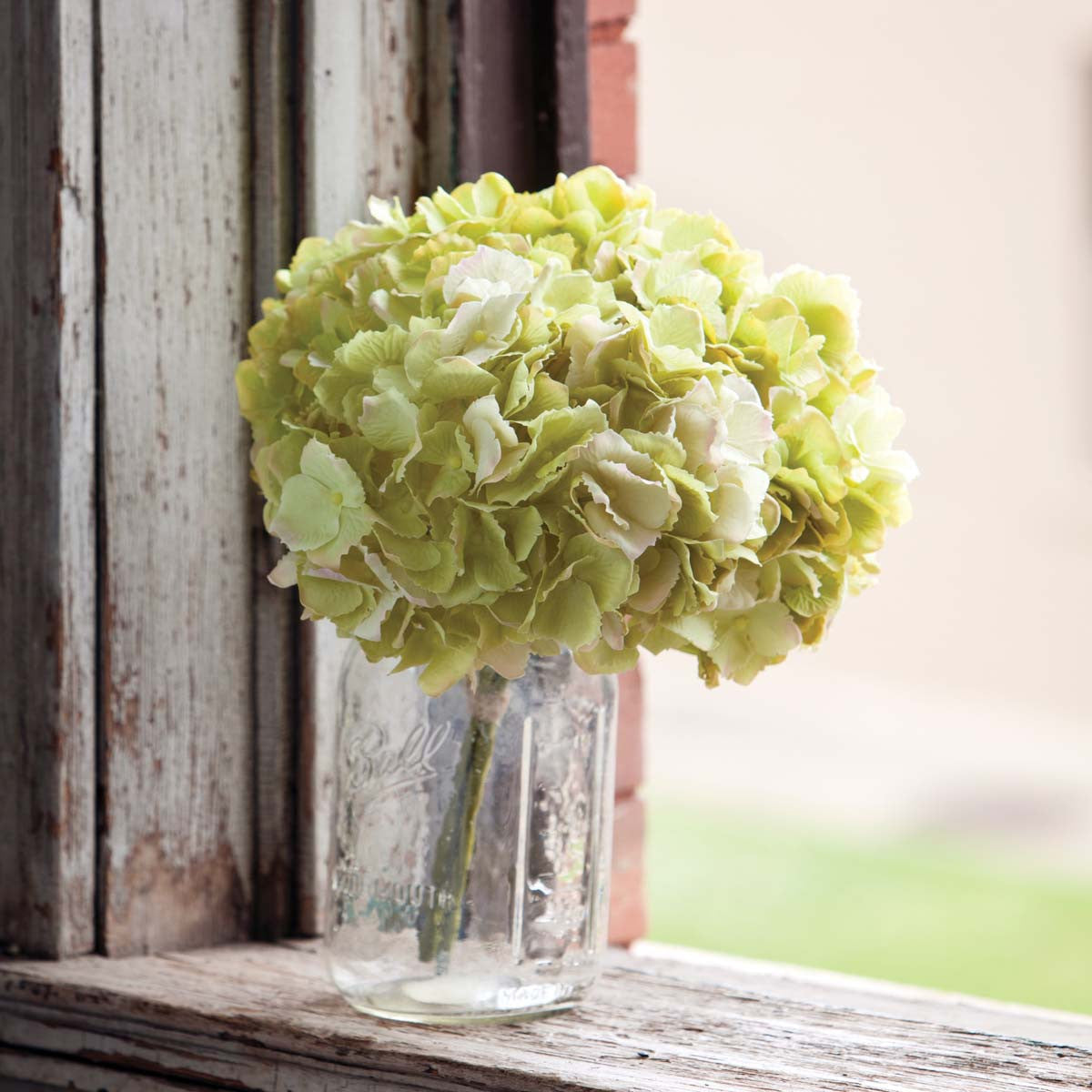 Hydrangea Bundle, Light Green