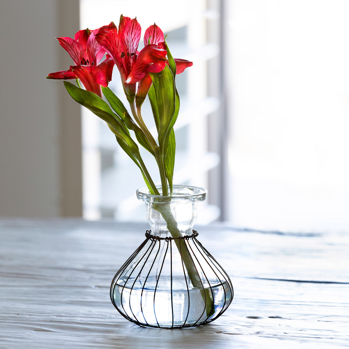 Lulu Wire Wrapped Bud Vase, Small