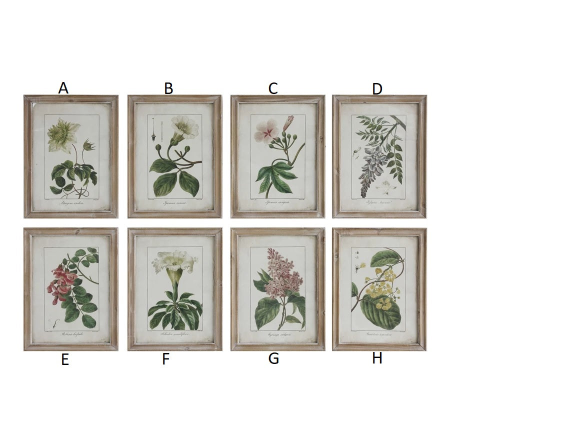 Framed Wall Decor with Floral Image, 8 Styles