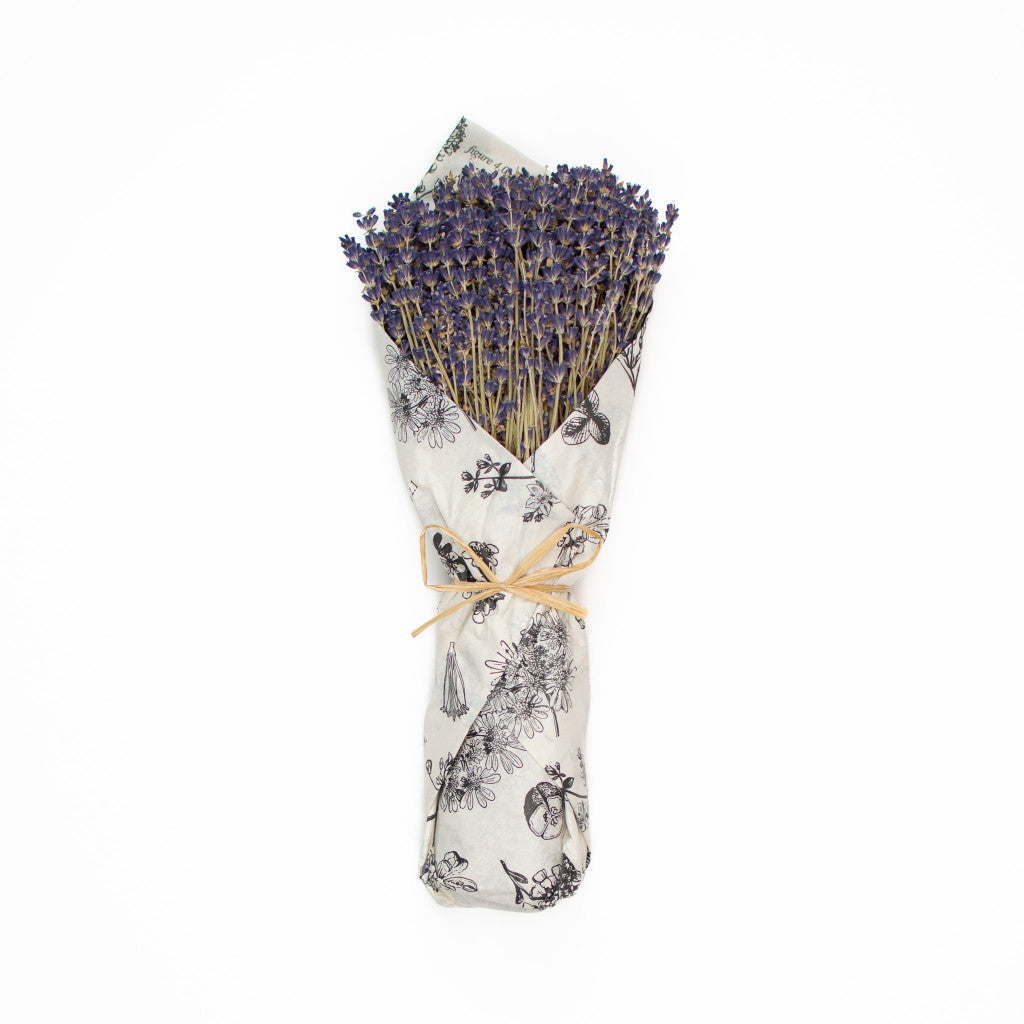 Lavender Bouquet - Dried from Provence