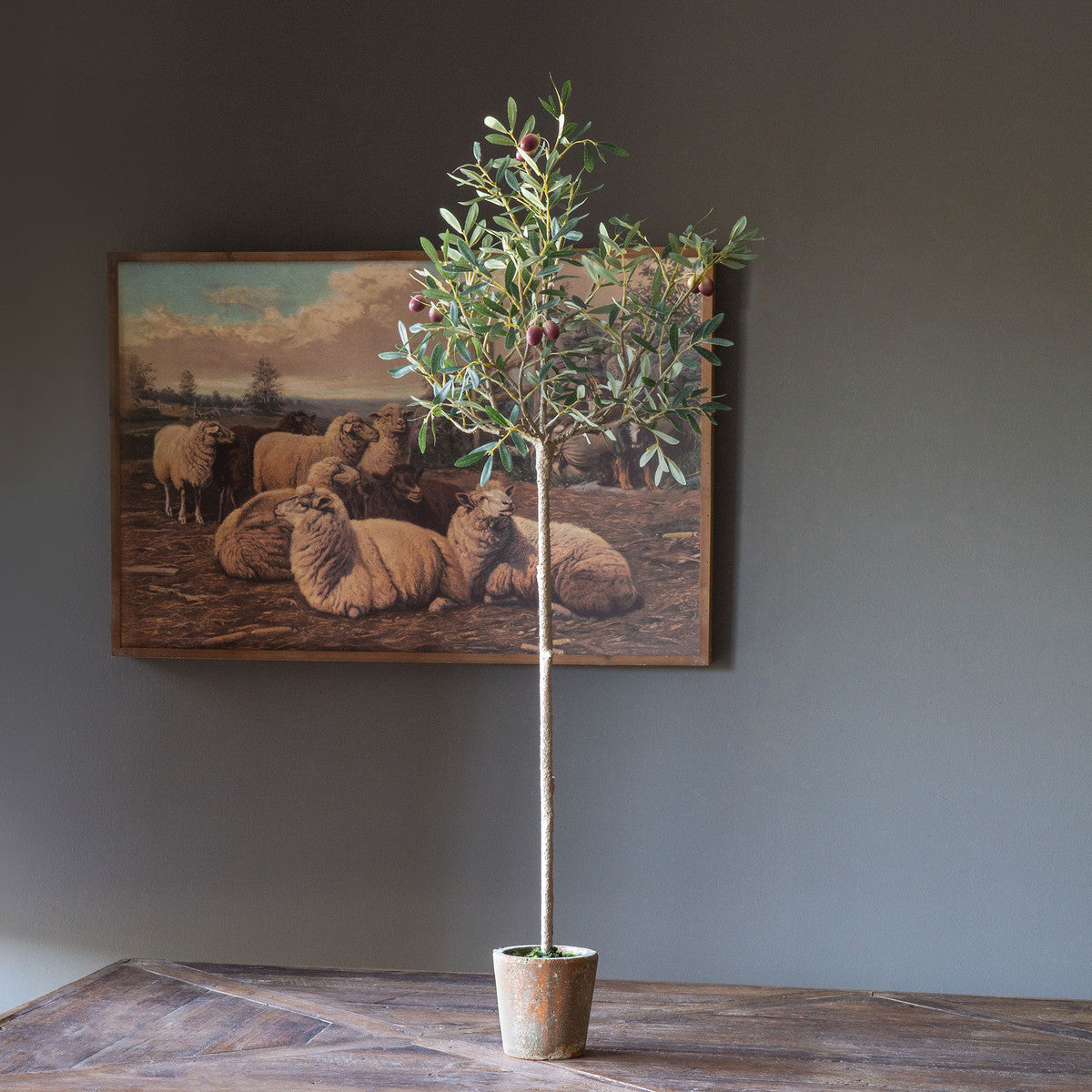 Olive Tabletop Potted Topiary