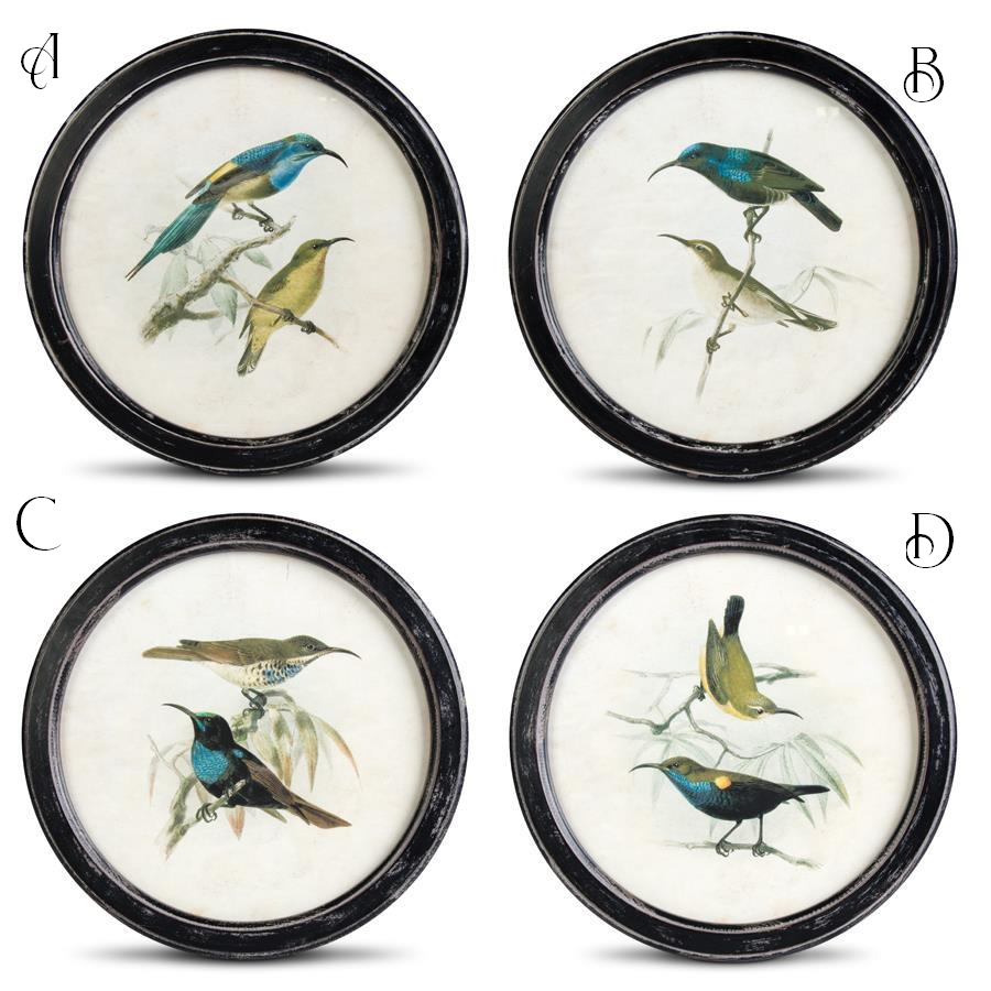 Assorted Birds in Round Frame