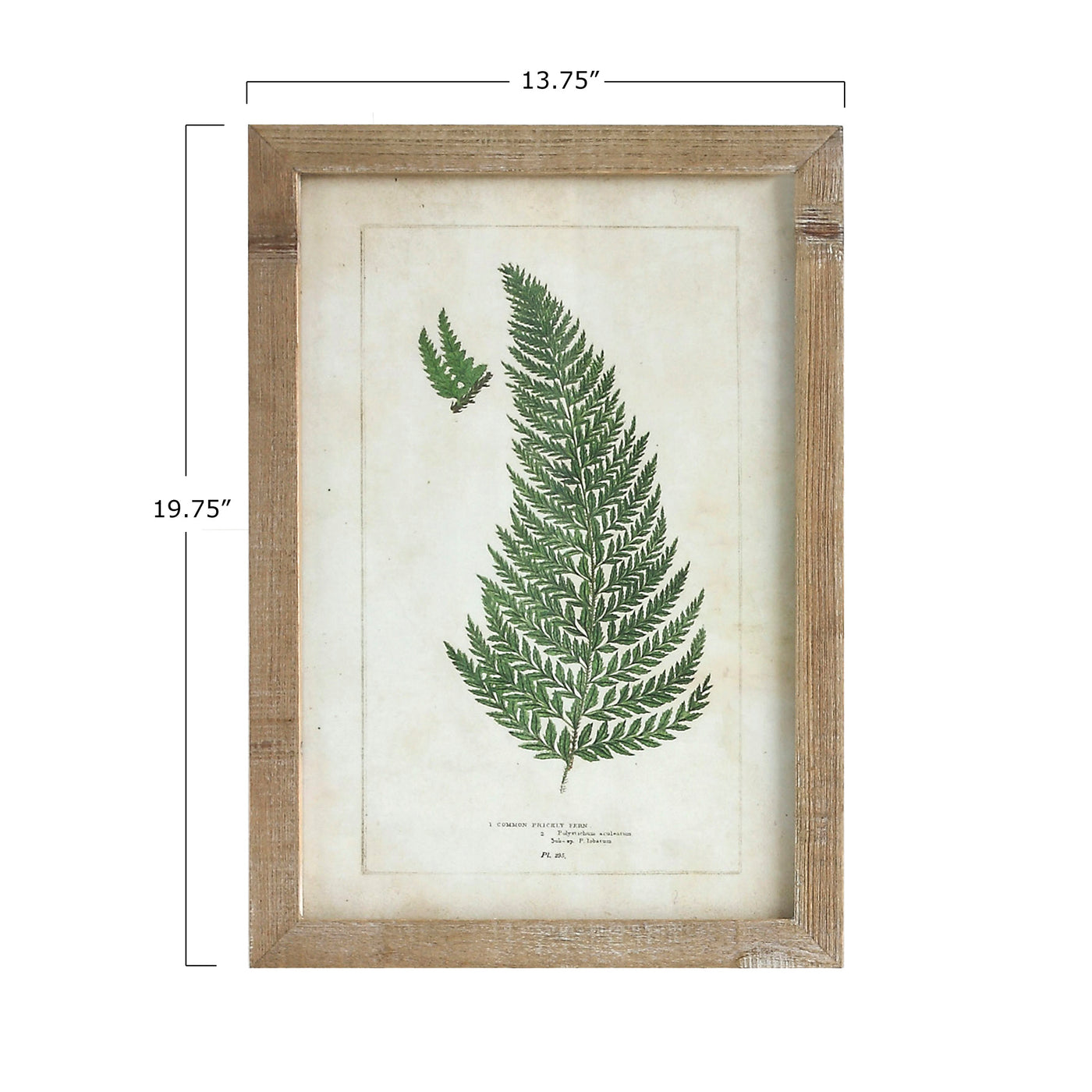 Framed Wall Decor with Fronds