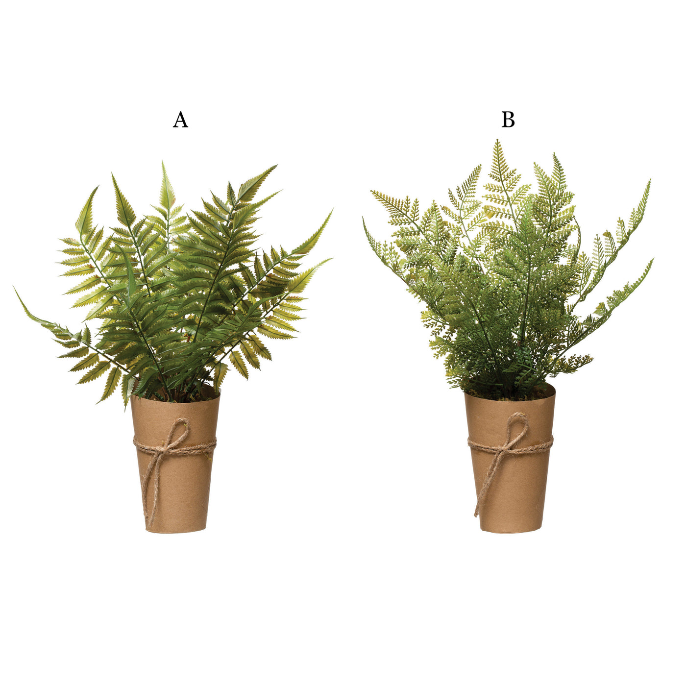 Faux Fern in Paper Wrapped Pot, 2 Styles