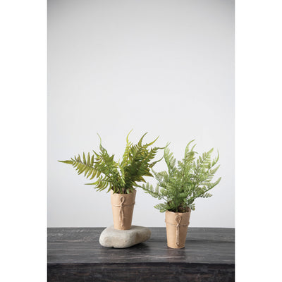 Faux Fern in Paper Wrapped Pot, 2 Styles