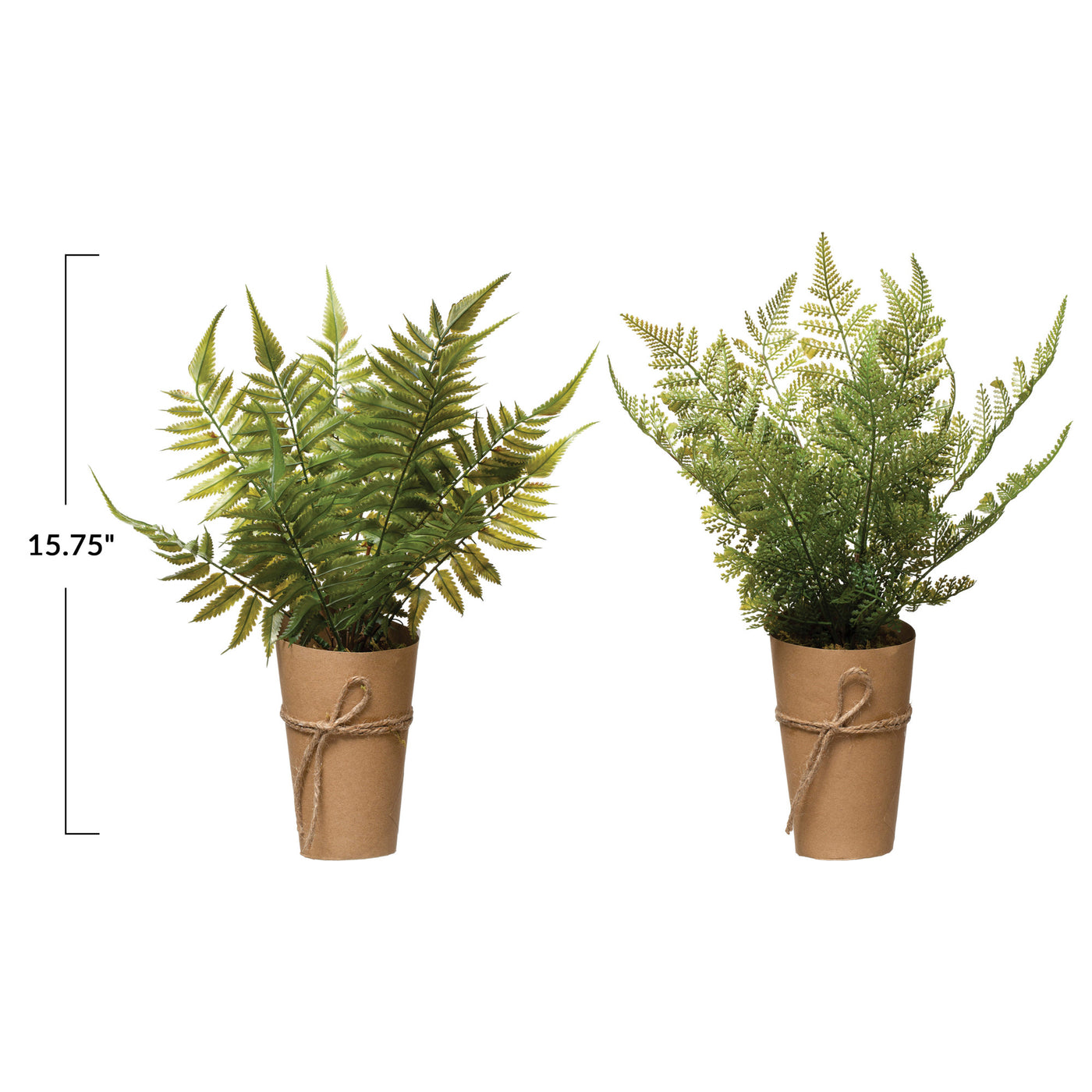 Faux Fern in Paper Wrapped Pot, 2 Styles