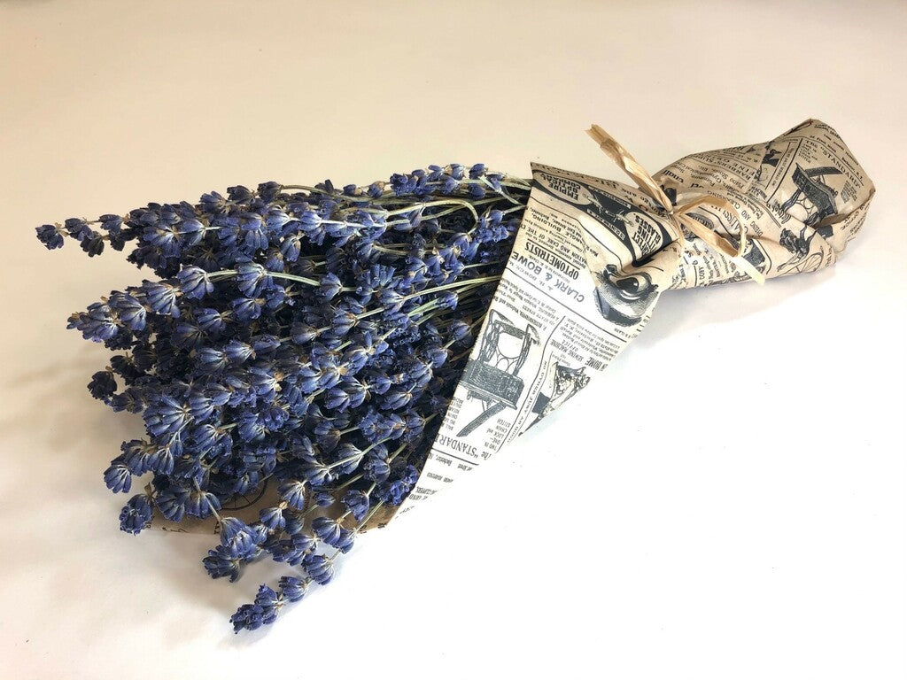 Lavender Bouquet - Dried from Provence