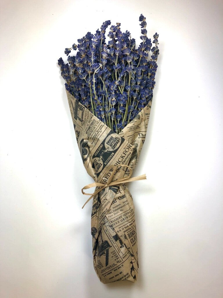Lavender Bouquet - Dried from Provence